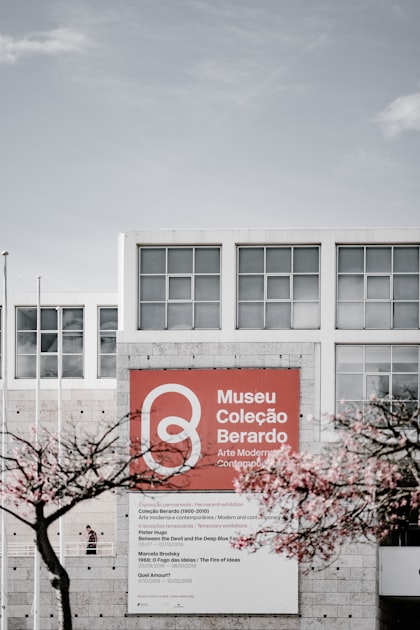 Business Initiatives in Cascais